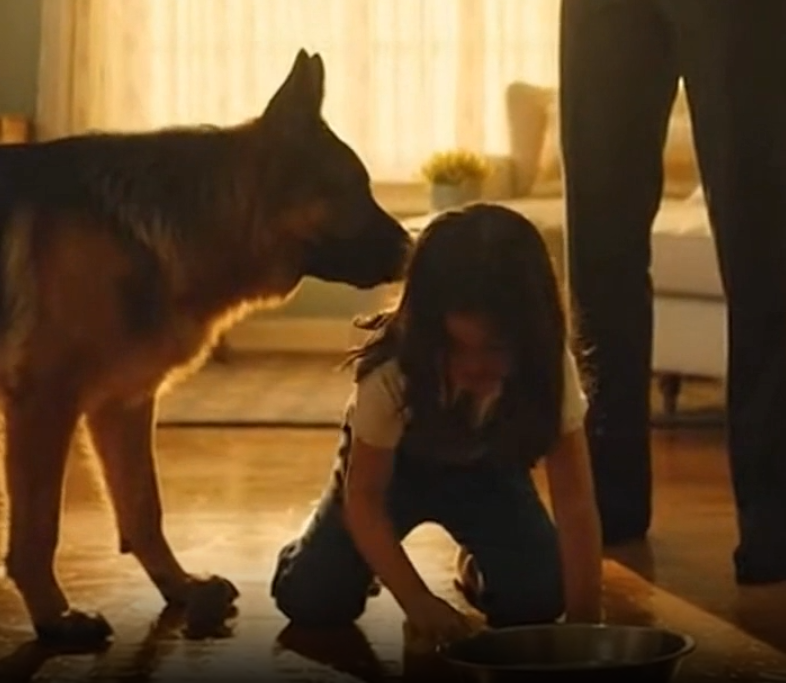 I’m a Cop Who Arrests Criminals Daily… Until I Had to Arrest My Own Wife