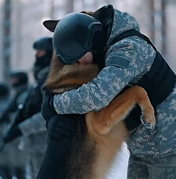 Military Dog Walked Past 40 Soldiers But Stopped At ONE — His Reaction Left Everyone In Tears