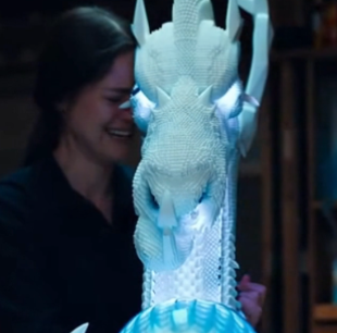 847 Days. 50,000 Pieces. 1 Promise To Her Dying Brother. This Is What She Created